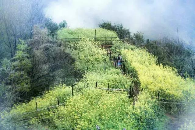 国内2月最美旅行地大推荐,风景线一路美到底(内附游玩线路)!