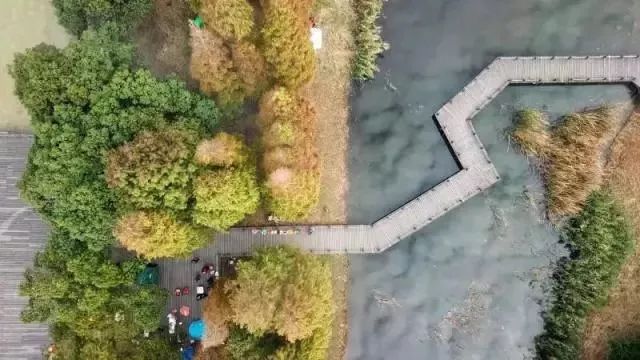 上海17号线东方绿舟,上海17号线附近游玩