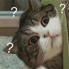 iphone7到了18年还值得买吗,iphone7为什么降价了