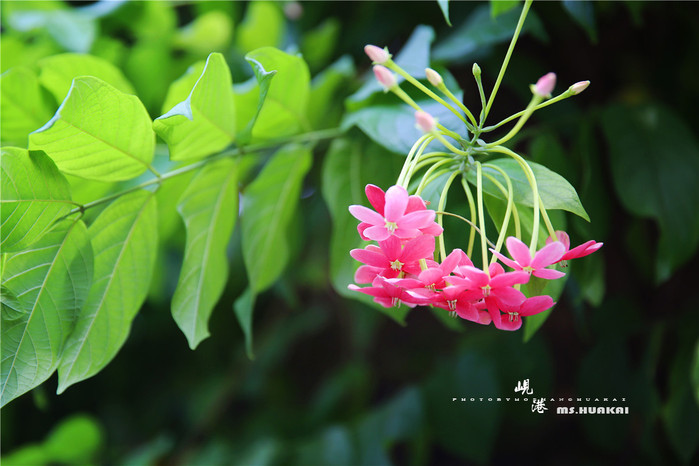 ◆周末度假去哪儿◆——在越南岘港逛吃逛吃