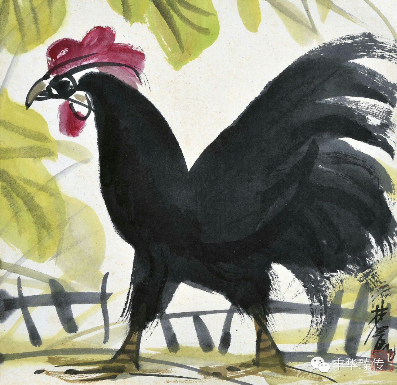 保利澳门拍卖ceo,隔岸赏花