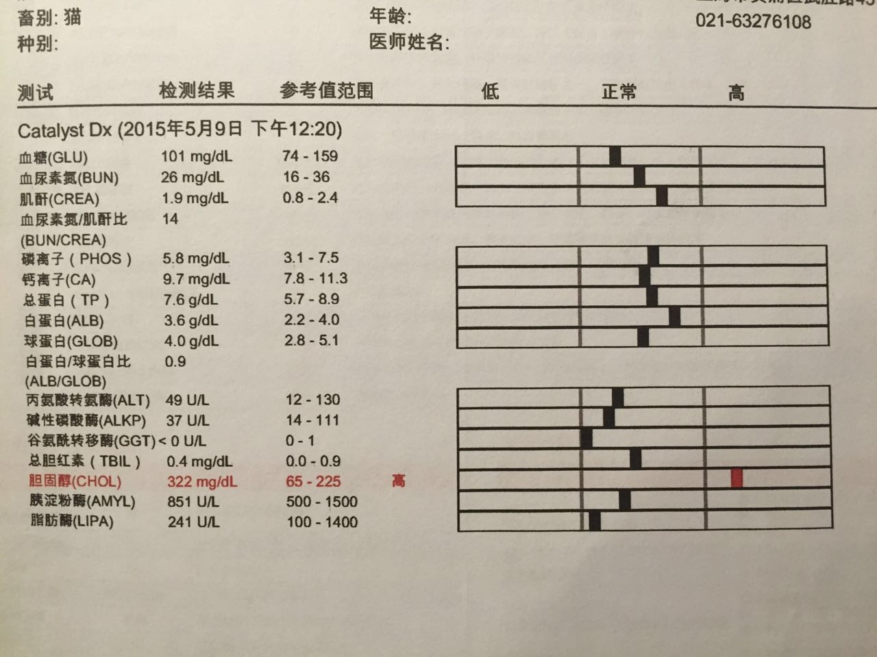 如小果专访：菲比和她家的肉丝！