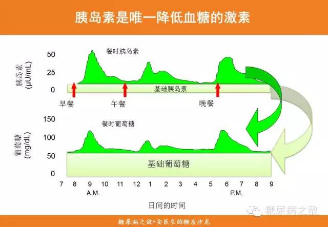 安医生告诉你：胰岛素和C肽检查有啥用