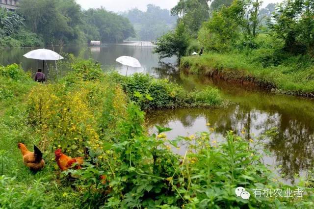 曾经结伴同行,曾经一起走过的路图片