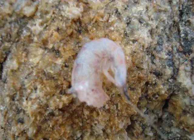 海钓矶钓新手的入门教程,海钓矶钓技巧教学解说