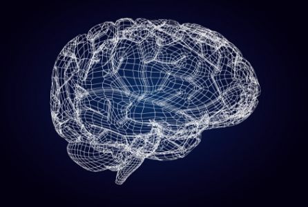 你真的了解自己的大脑,你的大脑到底在经历些什么