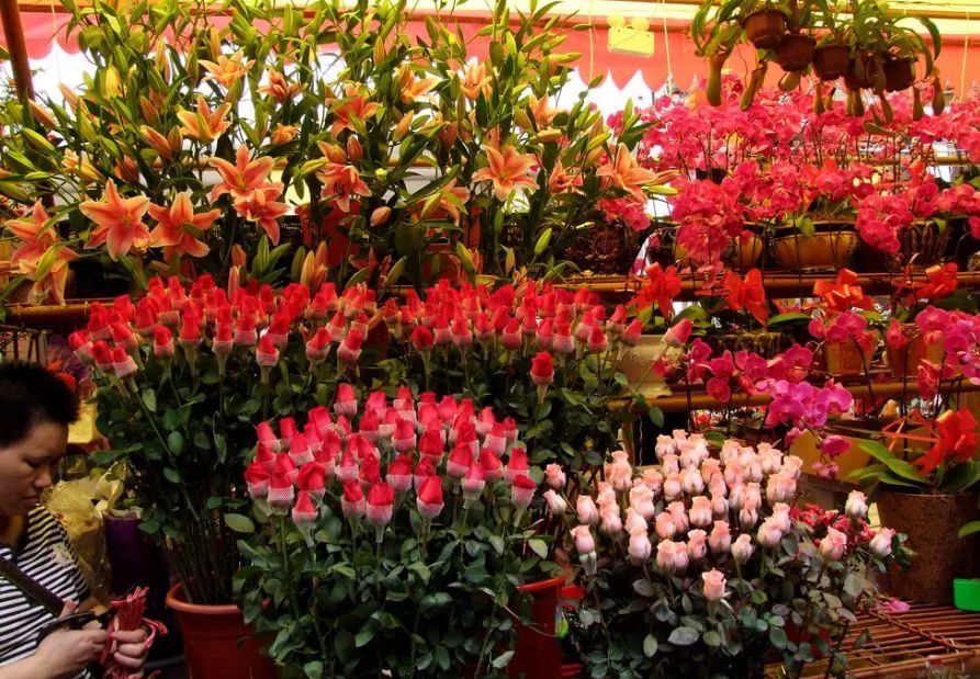 广东佛山花市游玩攻略,广东省佛山市行花街