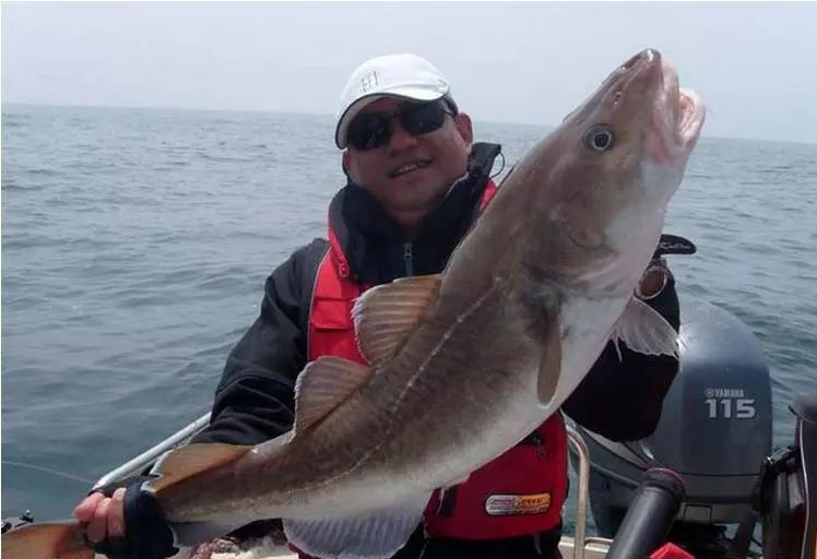 海钓矶钓新手的入门教程,海钓矶钓技巧教学解说