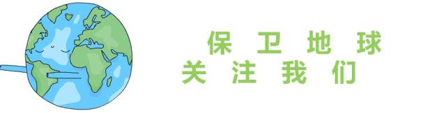 东兴年味,在东兴过年的感受