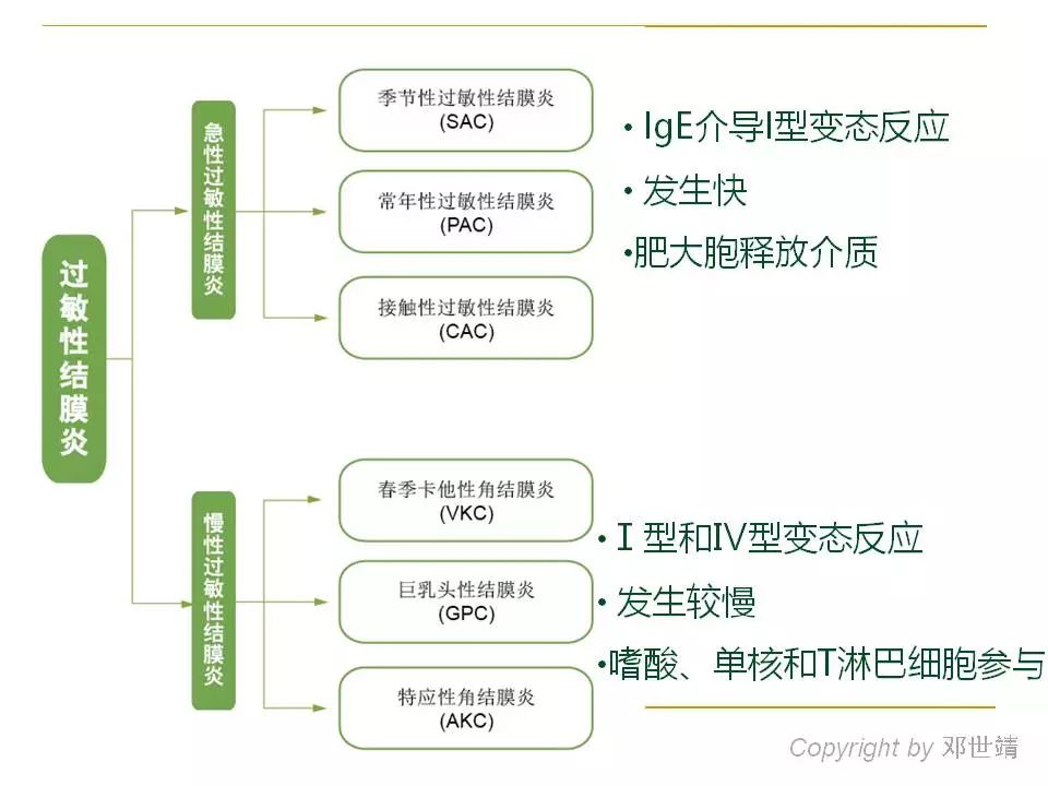 眼周过敏中医治疗,眼周过敏的症状图片