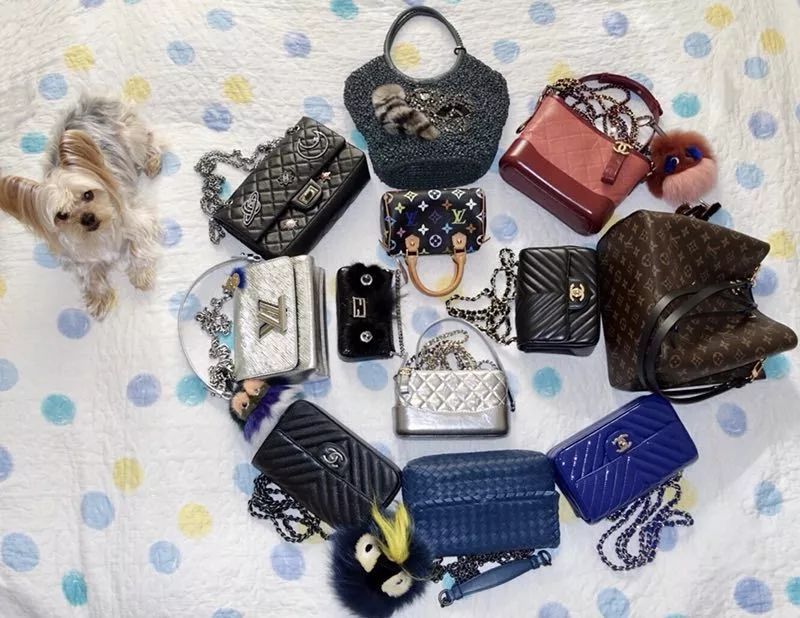 晒包|一年内竟然就买了这么多新包,你们太厉害了!