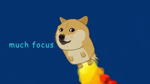 2019年doge币,doge币2022年