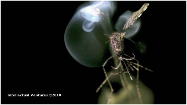 瞄准蚊子，发射！｜2017“十佳新锐科普创客”优秀作品展示