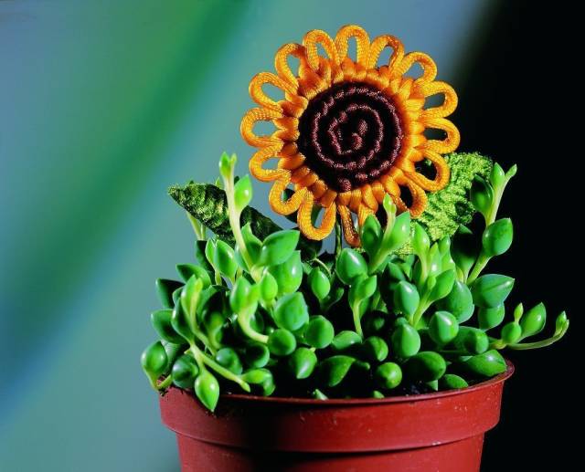 最美中国结舞蹈,最美中国结吉祥如意