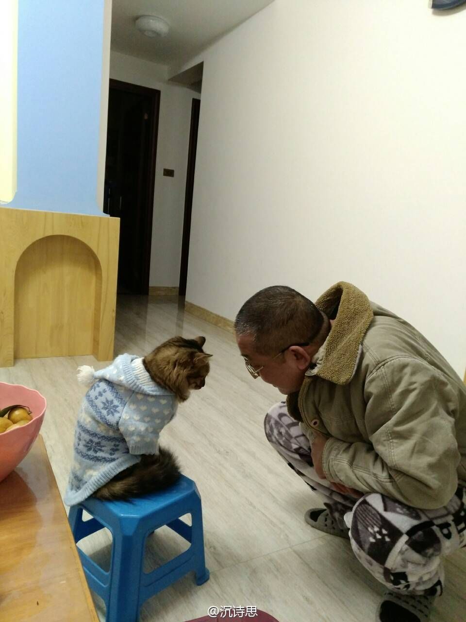 带狗回家后的第一天,带狗回家过年后带不回来了