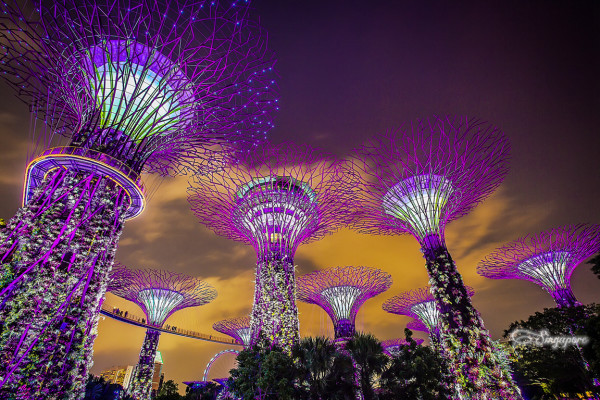 新加坡东海岸附近旅游攻略,新加坡购物攻略及必买清单