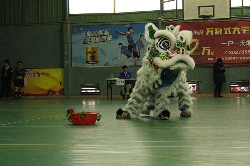 最精彩狮王争霸赛,狮王争霸赛精彩视频