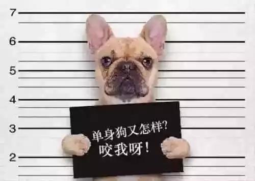 我很后悔结婚不想生孩子怎么办,不要结婚不生孩子老了怎么办