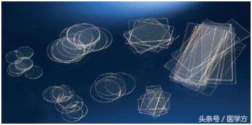 制作细胞爬片需要在细胞间做吗,细胞爬片操作步骤