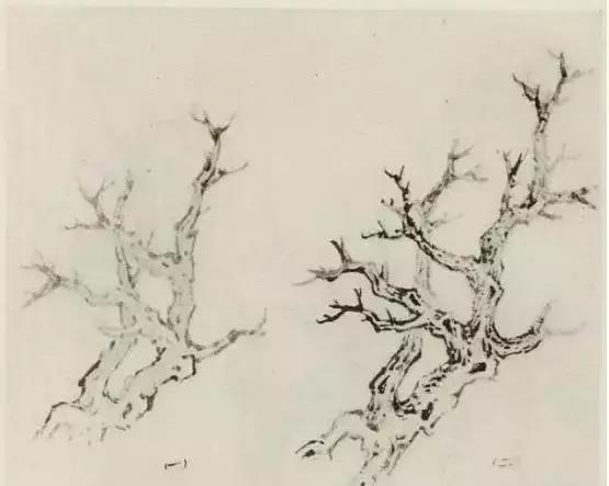 怎么画枯萎的树简单又好看,成长树怎么画小学生六年级