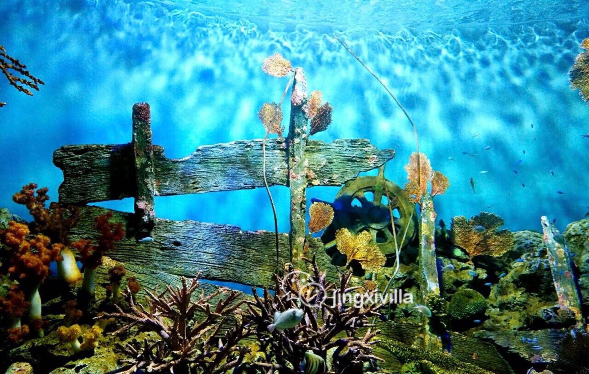 泰国曼谷亲子游攻略视频,泰国曼谷亲子游行程