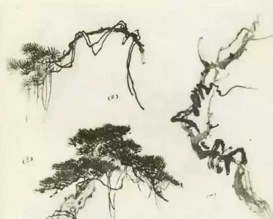 怎么画枯萎的树简单又好看,成长树怎么画小学生六年级