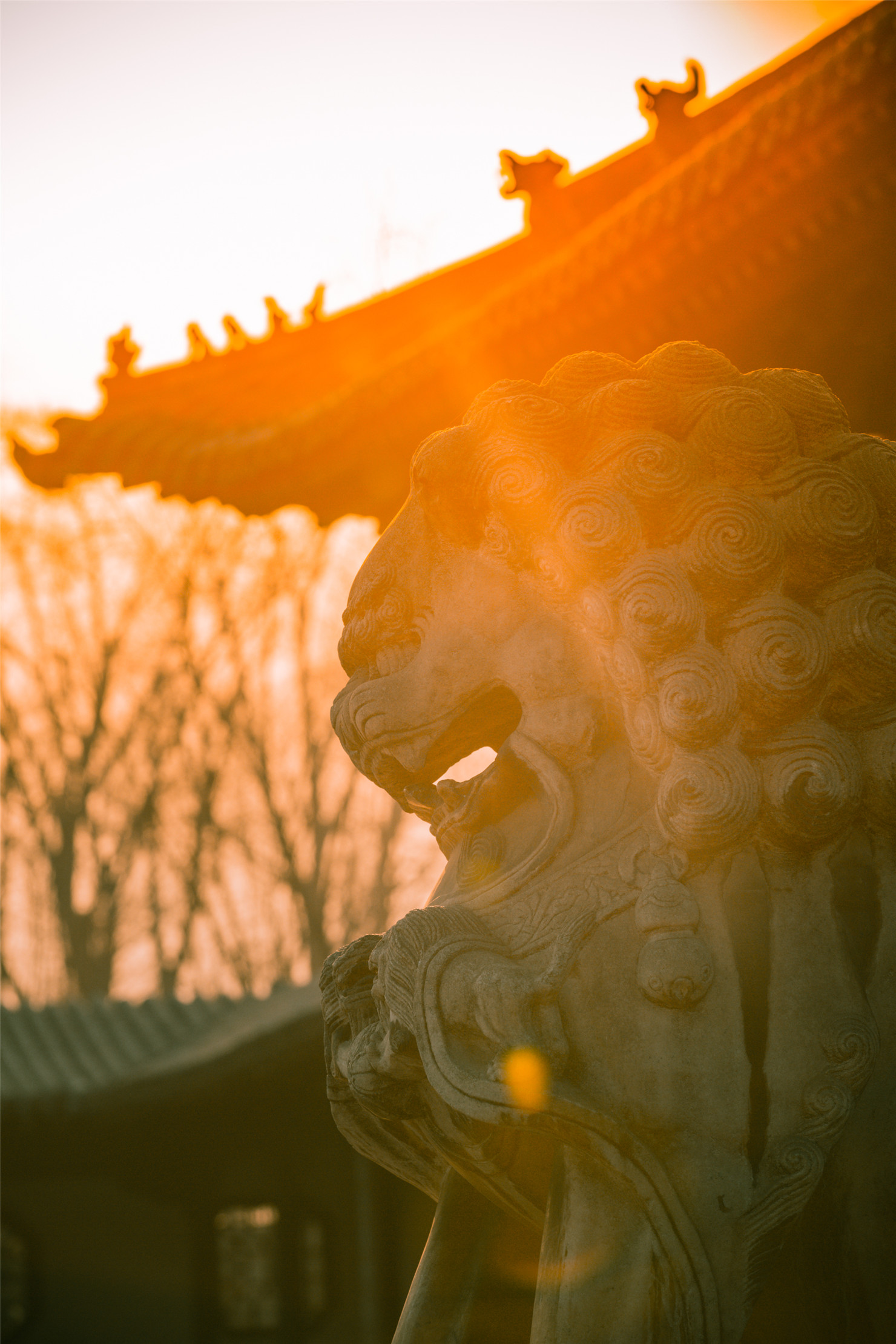 驾比速T5，冬日太原暖心游