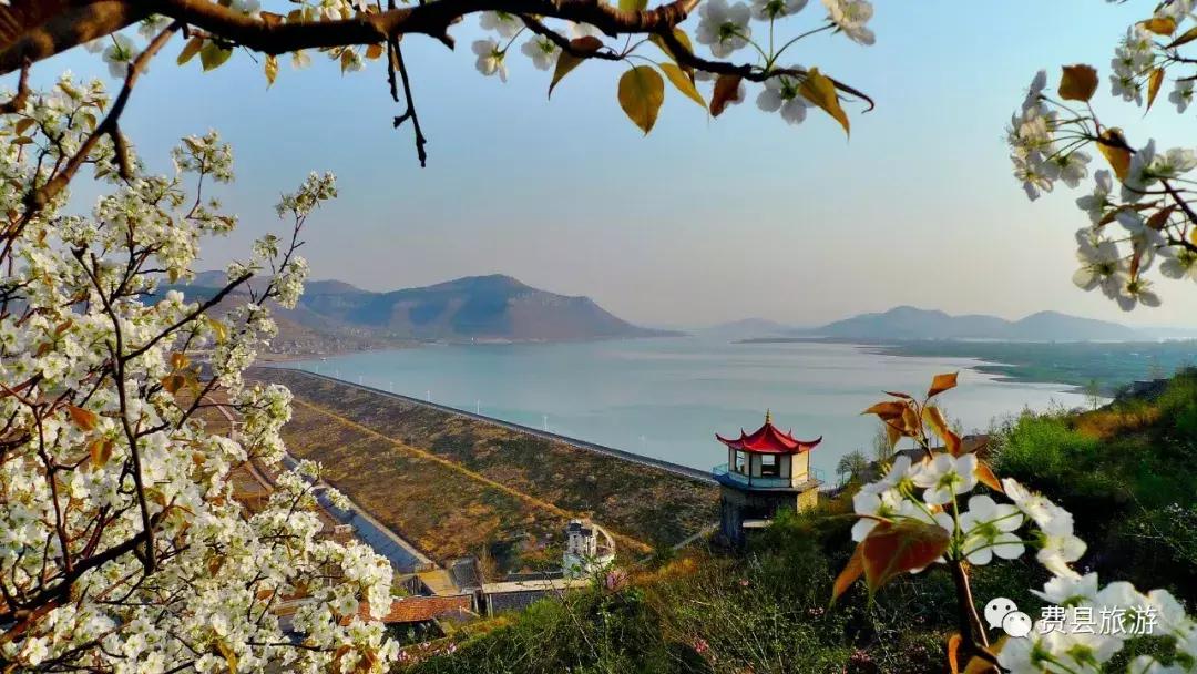 费县县城最惊艳的地方,费县有意境的地方