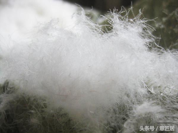 羽绒被洗涤方法,羽绒被如何洗涤保养