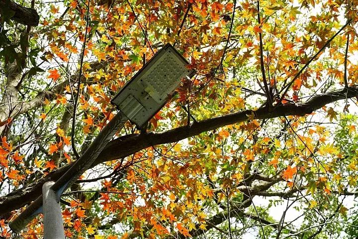 e-mount索尼,emount镜头焦段