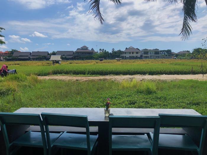 在巴厘岛的生活利与弊,巴厘岛上有哪些值得去的地方