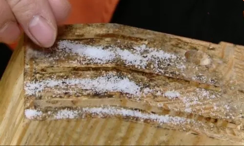 刀架发霉清除妙招,木刀架去霉妙招