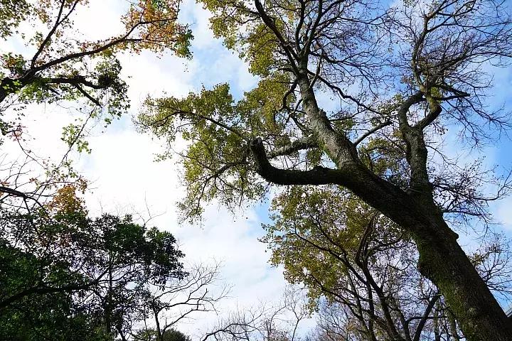 e-mount索尼,emount镜头焦段