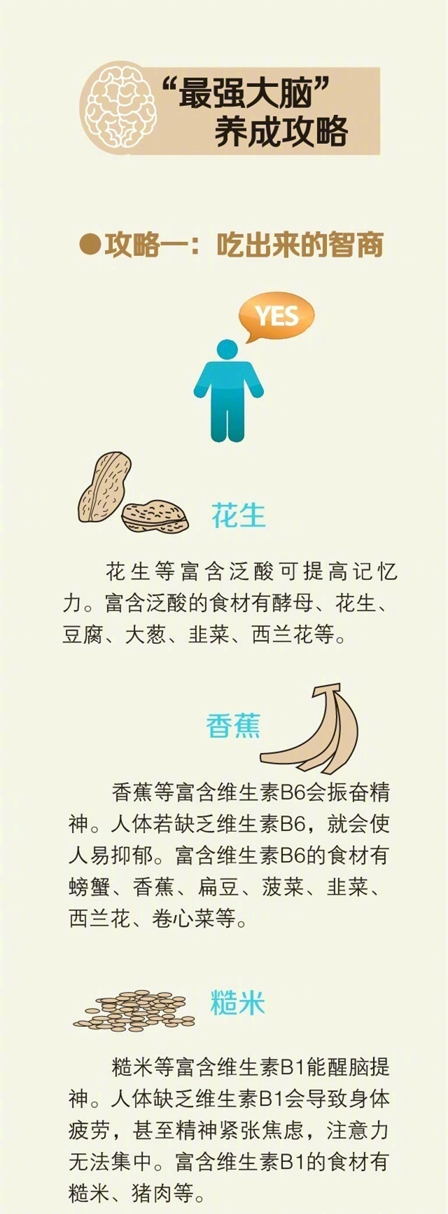 你的脑子已经彻底坏掉了吗,大脑总是不断的自我修复