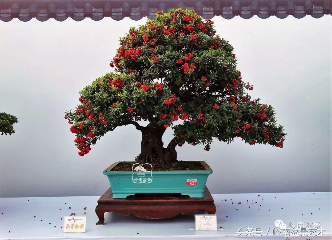 过年送礼好不好,过年送礼单数还是双数好