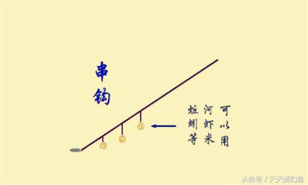 抛竿串钩钓鲫鱼方法,抛竿串钩钓鲫鱼的正确方法