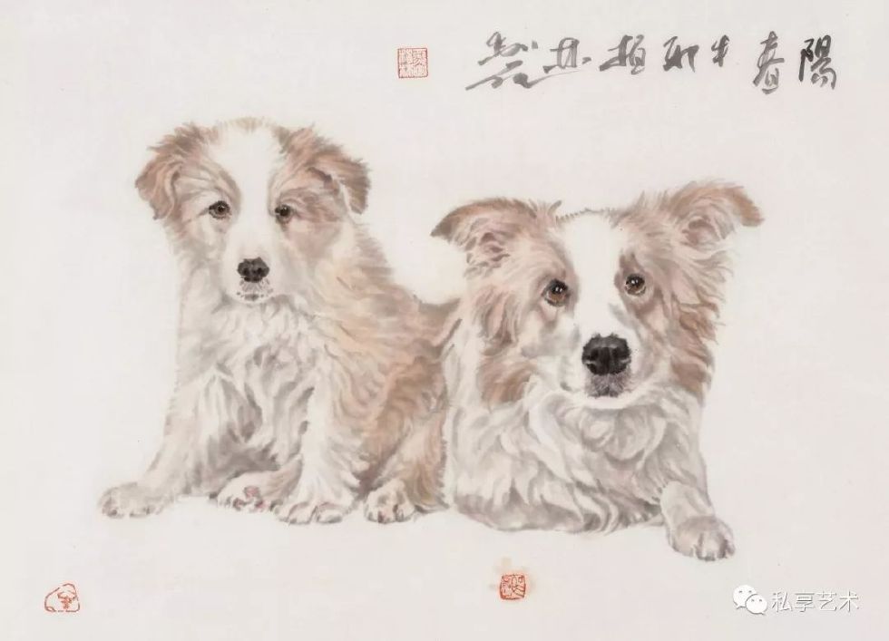 瑞犬迎春视频完整版,瑞犬迎春