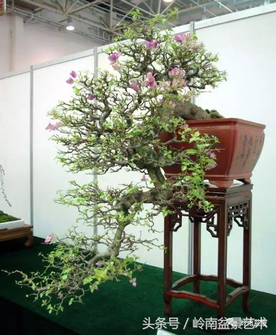 过年送礼好不好,过年送礼单数还是双数好