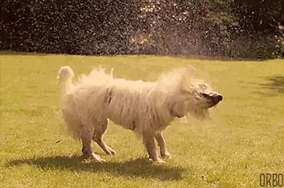 一年清洗几次洗衣机好,洗鞋机可以重复清洗吗