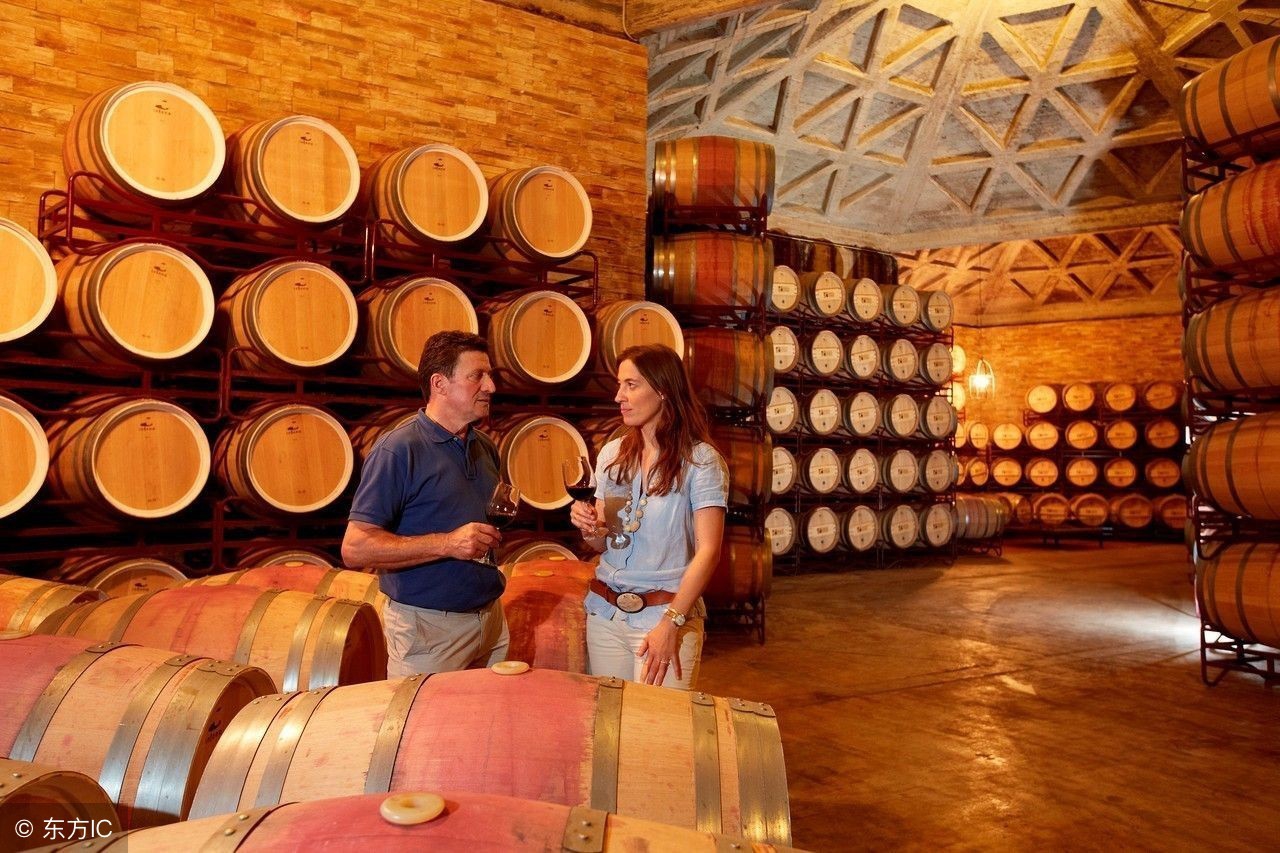 8个你不知道的冷知识!狗不能吃海带!