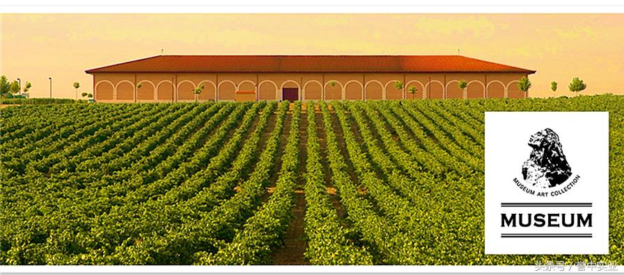 西班牙葡萄酒知名品牌有哪些,西班牙皇家穆苏红葡萄酒