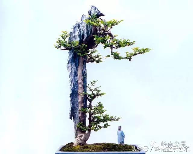 过年送礼好不好,过年送礼单数还是双数好