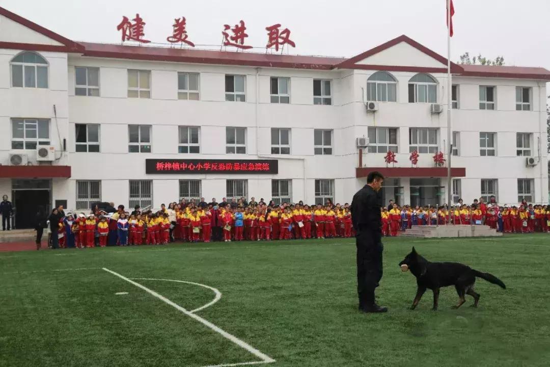 厉害了北京完整视频,厉害了北京