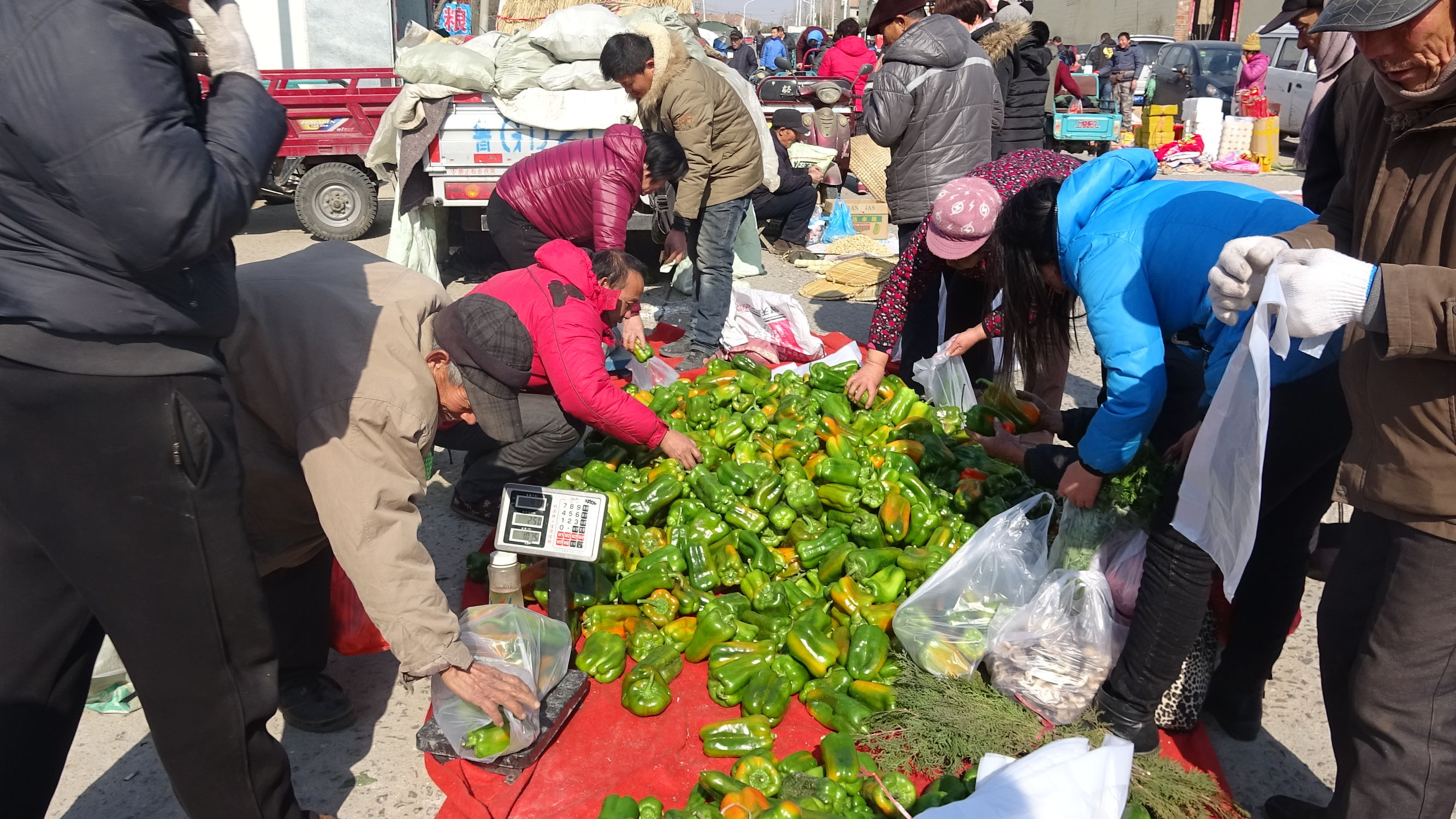 我的家乡集市,临朐县城大集