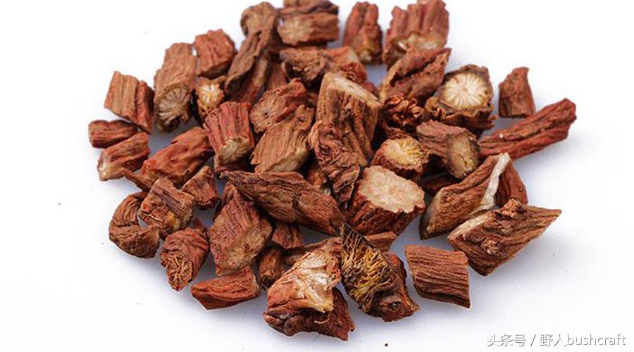 一片孝心下一句,一片孝心难得可贵