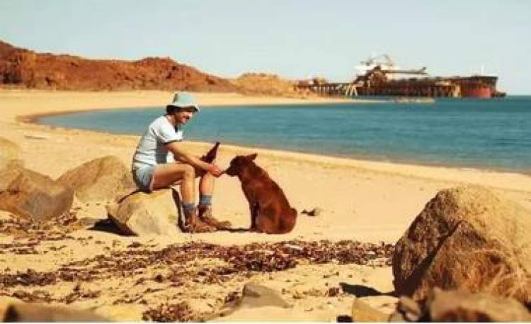 狗年旺旺视频完整版,狗年旺旺2019