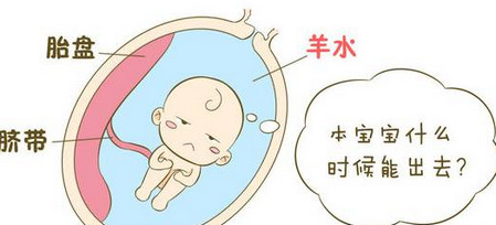 羊水那些事儿，孕妈你了解多少？