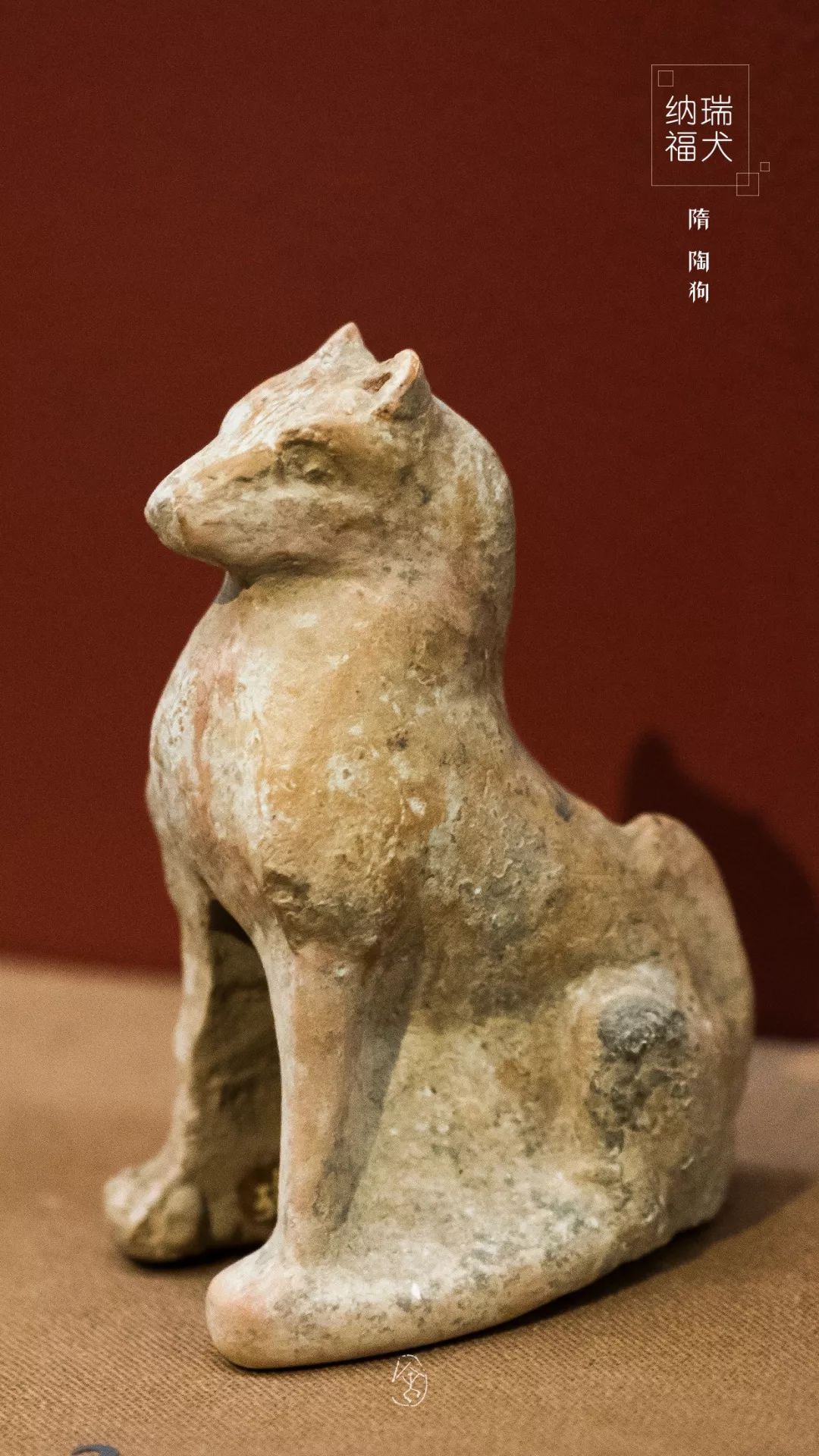 瑞狗迎春金狗纳福,瑞犬纳福2018年