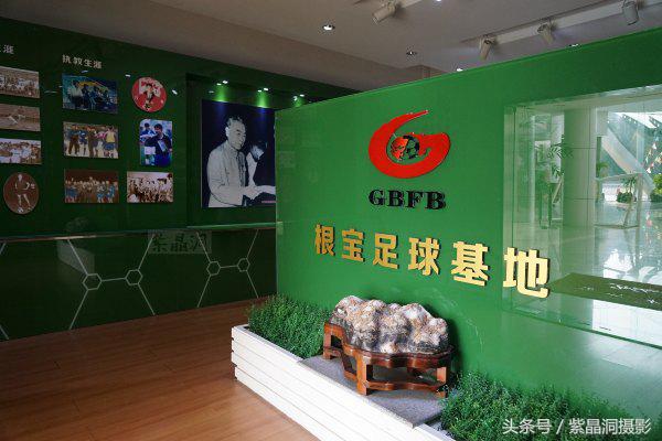 武磊助西班牙人收入猛增,武磊最新身价达2000万欧