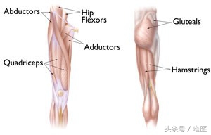 专业骨科普真实问诊案例,跑步髋部拉伤如何快速恢复